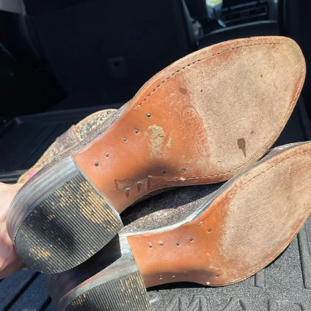 Sentra Distressed Booties - Picture 5 of 9